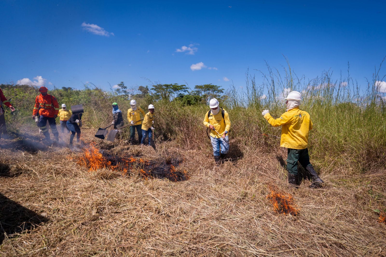 Acre registra 21 focos de calor e lidera redução de queimadas no país em 2026