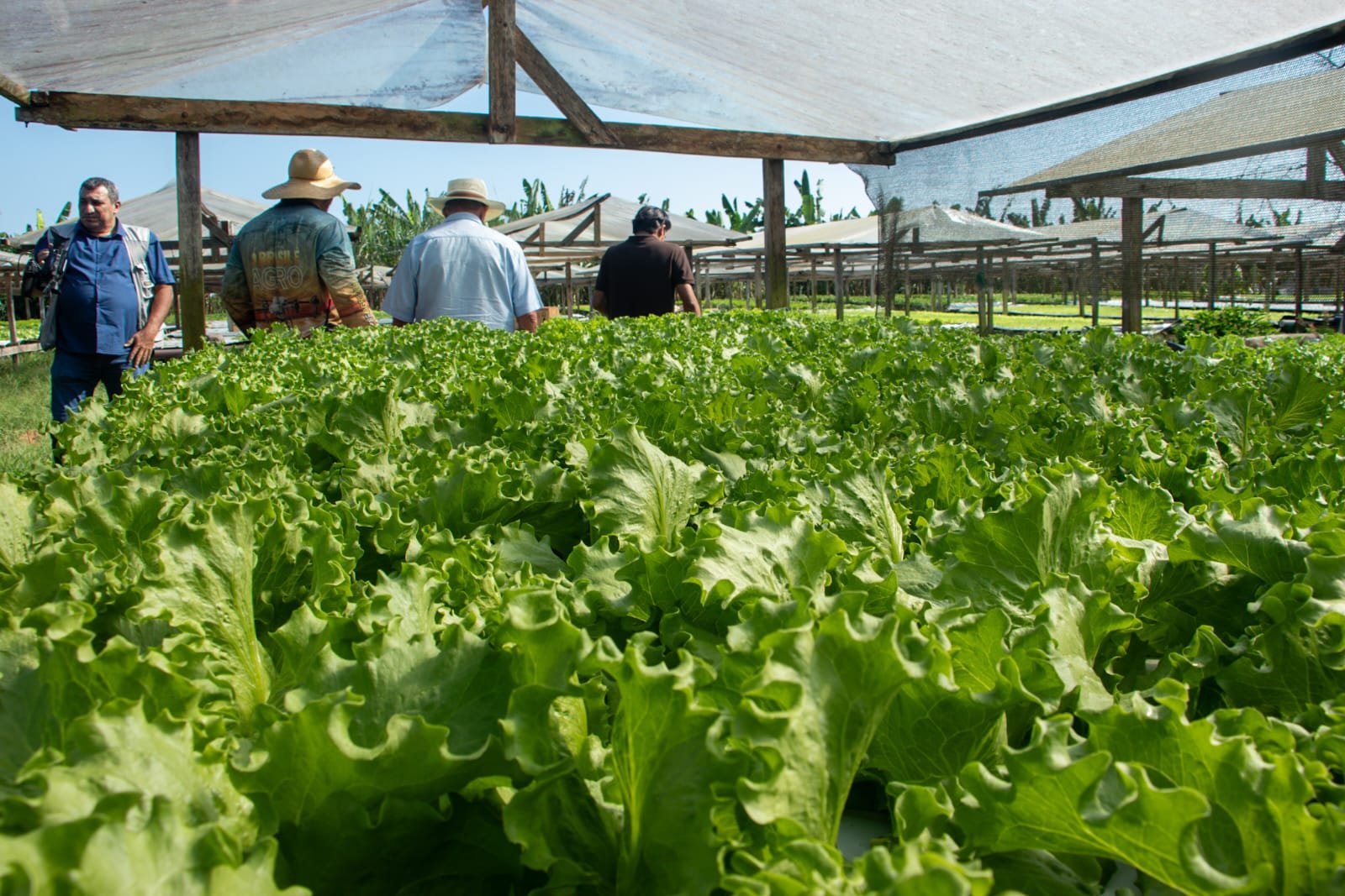 Agricultura familiar avança em Rio Branco com apoio a produtores da Baixa Verde
