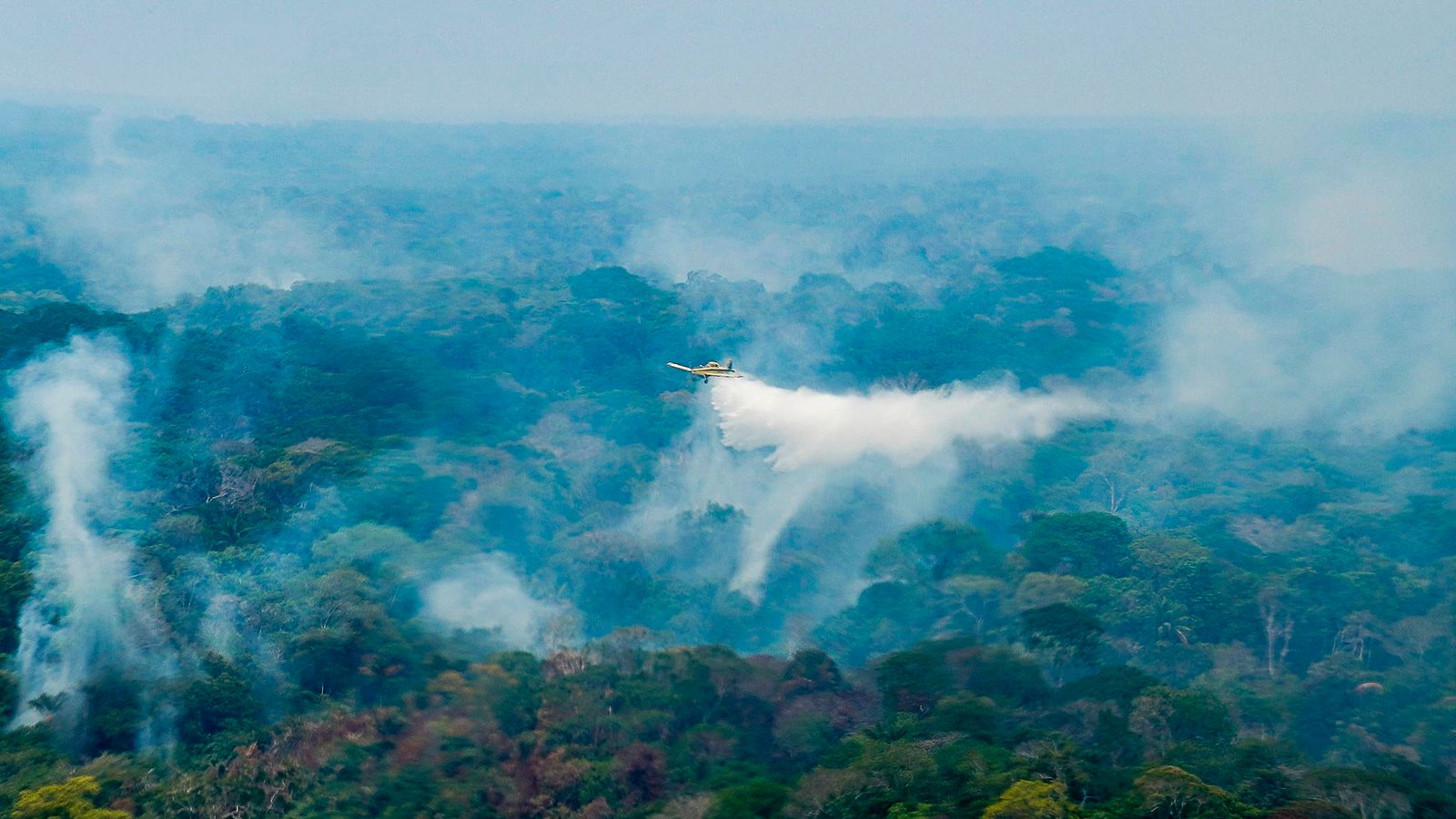 Ibama identifica uso do fogo para ampliar desmatamento e pastagens no Amazonas