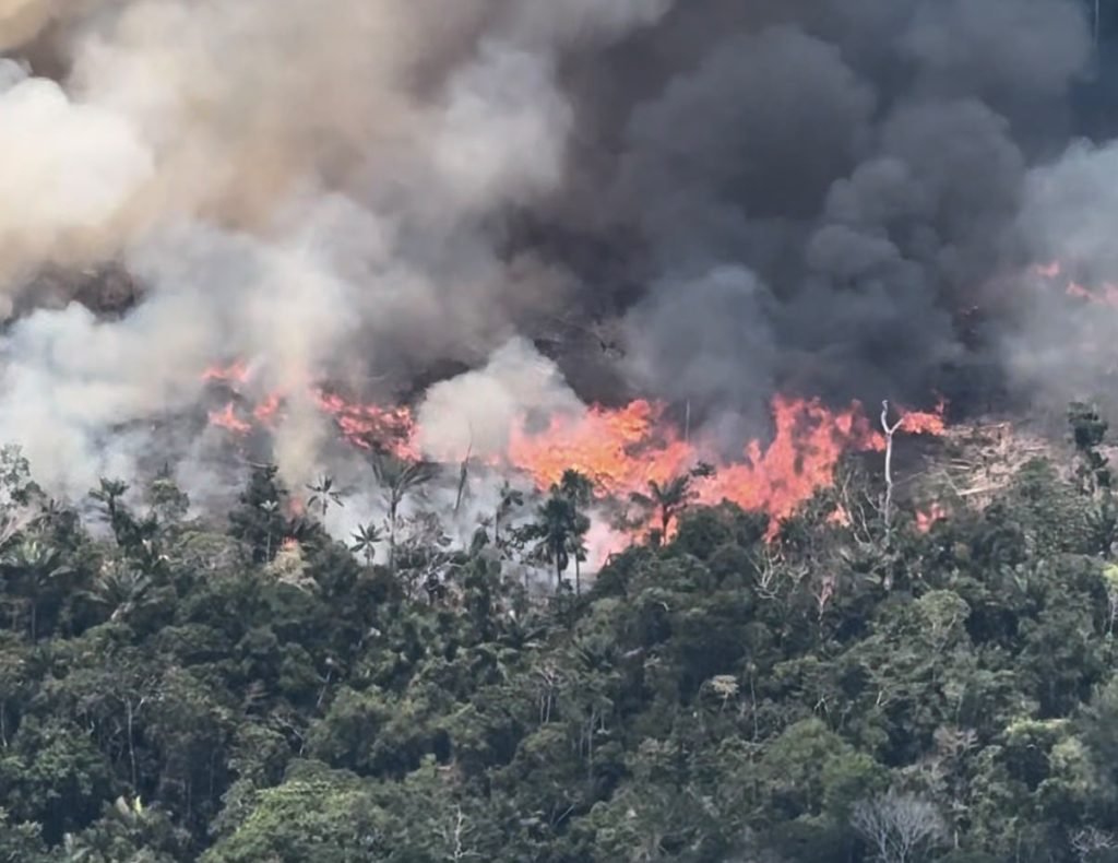 Piloto chama atenção para incêndios no Juruá enquanto queimadas e desmatamento avançam no Acre